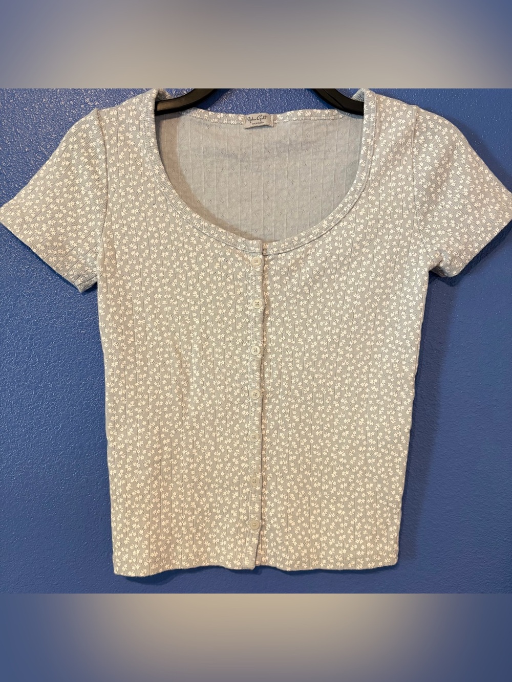 John Galt Light Cream Sage Green Floral Button-Front Scoop Neck Top